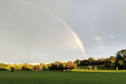 Arc-en-ciel à Avenches (VD) le 8 octobre 2024. Source : Observations Météo - App MétéoSuisse