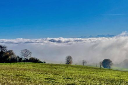 Une journée ensoleillée en montagne avec des grisailles en plaine comme le 15 novembre 2024 à Gorgier (NE). Source : Observations Météo - App MétéoSuisse