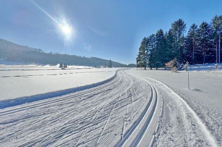 Photo d'une piste de sik de fond sous le soleil.