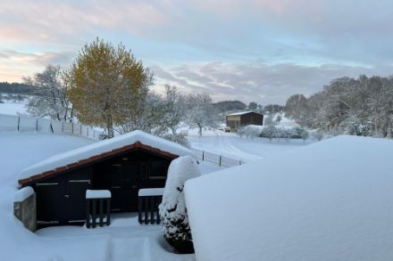 La journée de 2024 la plus enneigée en plaine aura été pour de nombreuses stations le 21 novembre comme ici à Boncourt. Photo : Observations météo – App MétéoSuisse