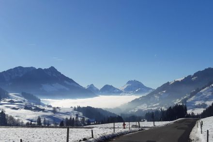 Photo d'une jurnée ensoleillée au-dessus de la mer de brouillard dans la région de Charmey (FR) le 14 janvier 2025. 