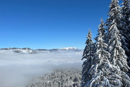 Paysage enneigé avec mer de brouillard et ciel bleu.