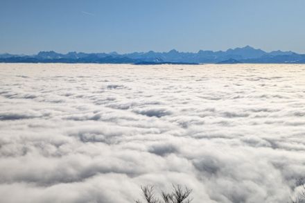 Vue de la mer de stratus depuis Mijoux, le 3 février 2025. Photo : observations météo – App MétéoSuisse