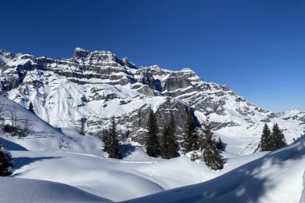 Des montagnes enneigées sous un ciel bleu
