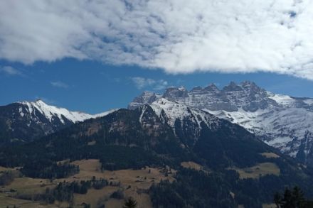 Les Dents du Midi photographiées depuis Val d’Illiez le 8 mars 2025. La neige a déjà bien fondu en moyenne montagne. Source : Observations Météo - App MétéoSuisse