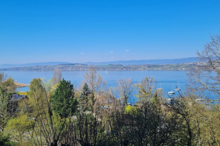 Une journée du 5 avril 2025 ensoleillée et chaude au bord du lac de Morat avec une température maximale de l’ordre de 21 °C. Source : Observations Météo - App MétéoSuisse