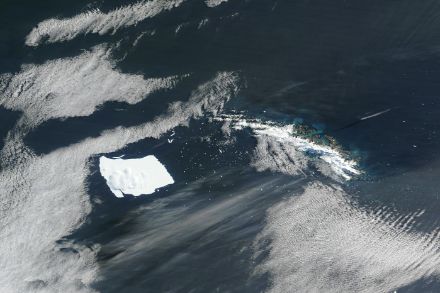 L’iceberg A23a au sud-ouest de la Georgie du Sud, le 11 avril  2025 (NASA Worldview)