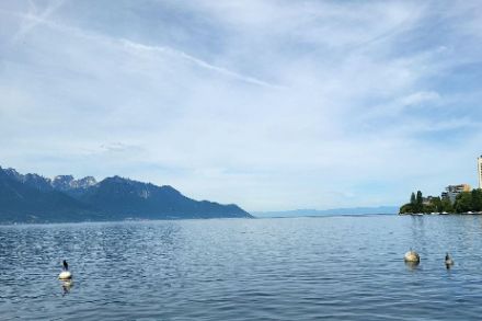 Matinée du 31 mai 2025 bien ensoleillée malgré des voiles nuageux sur les bords du Léman, depuis Montreux. 