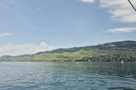 Week-end estival sur les bords du Léman près de Vevey. (Image : Observation météo, App MétéoSuisse)