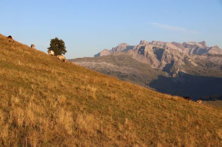 Sécheresse durant l'été 2022, vue depuis le Chli Aubrig vers le massif du Glärnisch.