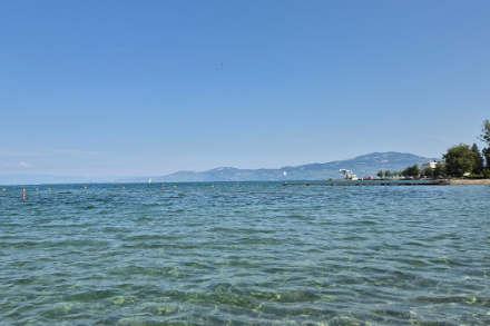 Le Léman le 5 juillet 2025 depuis Le Bouveret. A ce moment-là, la température du lac était de l’ordre de 25 °C dans le secteur. 