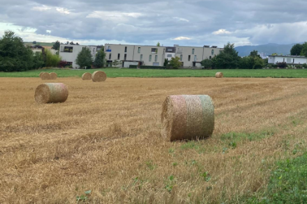 Un début de matinée encore nuageux à Bienne le 22 juillet 2025. Source : Observations Météo - App MétéoSuisse