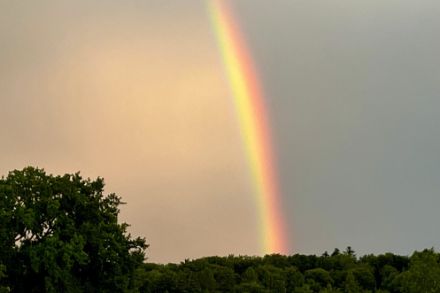 Arc-en-ciel lors d'une averse dans la région d'Epalinges dimanche 13 juillet vers 21h00