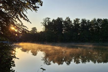 Photo de brume sur un étang.