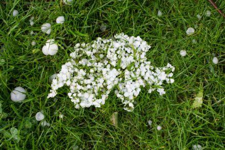 Nombreux grêlons de tailles diverses formant le contour de la Suisse sur fond de prairie verte.