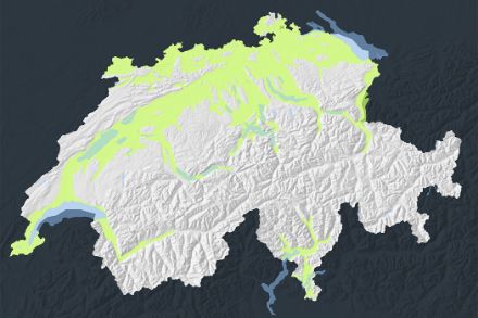 Régions de prévision