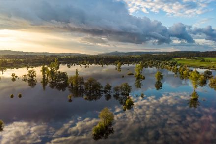 Vue aérienne d'un terrain inondé d'où émergent de nombreux arbres 